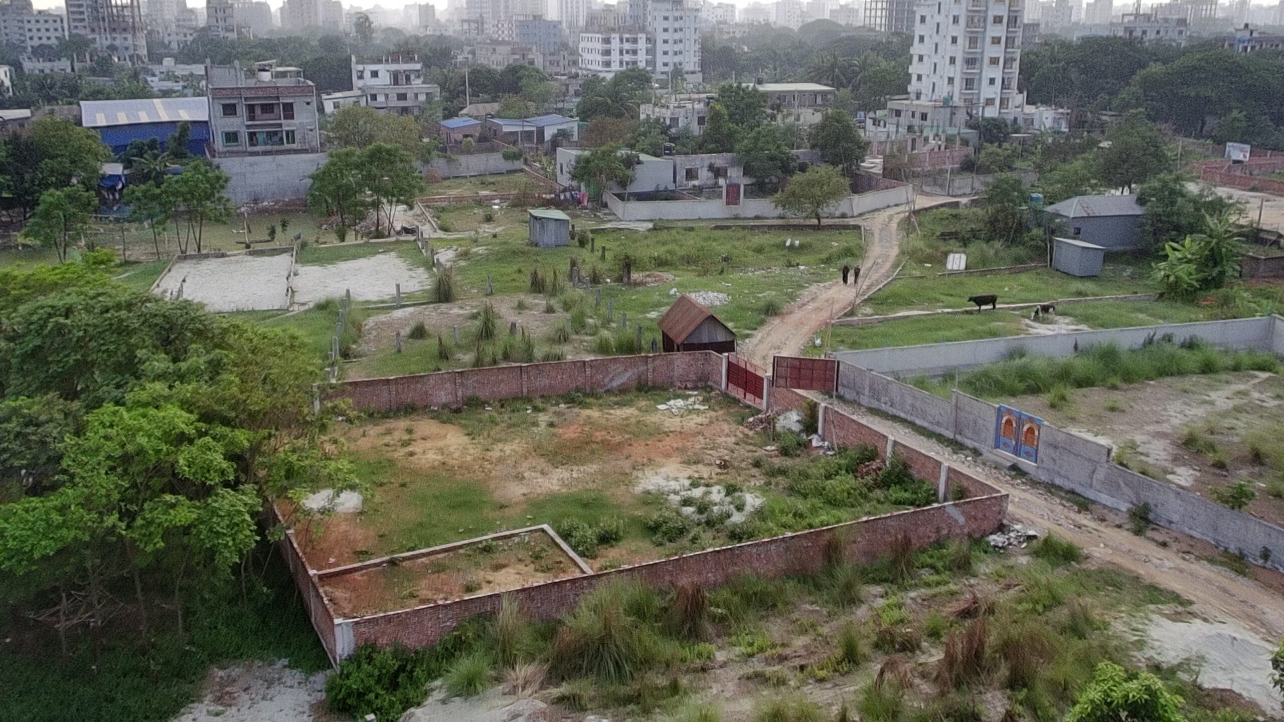 Sujala Abason 02 Plot Back